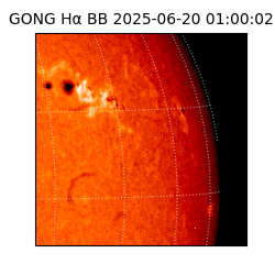 gong - 2025-06-20T01:00:02