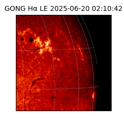 gong - 2025-06-20T02:10:42