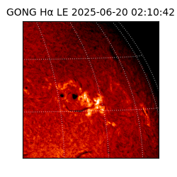 gong - 2025-06-20T02:10:42