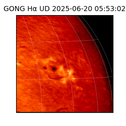 gong - 2025-06-20T05:53:02