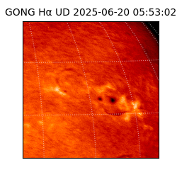 gong - 2025-06-20T05:53:02