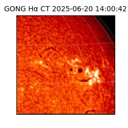 gong - 2025-06-20T14:00:42