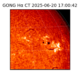 gong - 2025-06-20T17:00:42