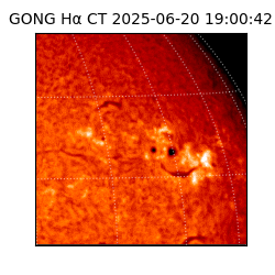 gong - 2025-06-20T19:00:42