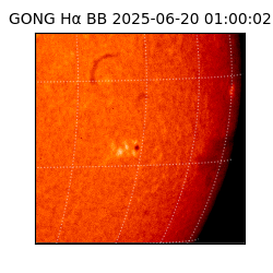 gong - 2025-06-20T01:00:02