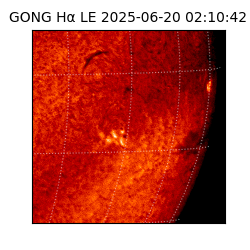 gong - 2025-06-20T02:10:42