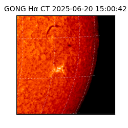 gong - 2025-06-20T15:00:42