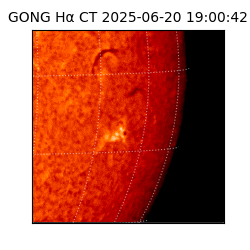 gong - 2025-06-20T19:00:42