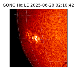 gong - 2025-06-20T02:10:42