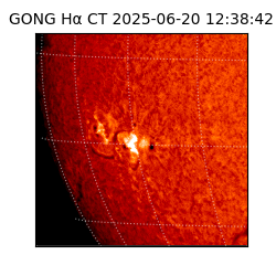 gong - 2025-06-20T12:38:42