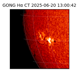 gong - 2025-06-20T13:00:42
