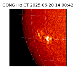 gong - 2025-06-20T14:00:42