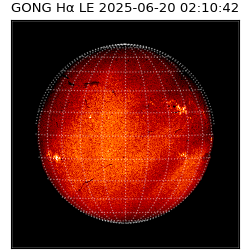 gong - 2025-06-20T02:10:42