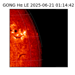 gong - 2025-06-21T01:14:42