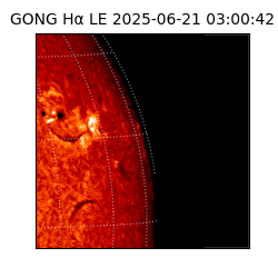 gong - 2025-06-21T03:00:42