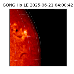 gong - 2025-06-21T04:00:42