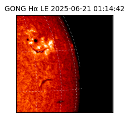 gong - 2025-06-21T01:14:42