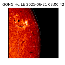 gong - 2025-06-21T03:00:42