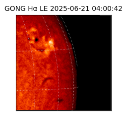 gong - 2025-06-21T04:00:42