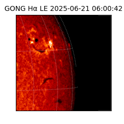 gong - 2025-06-21T06:00:42