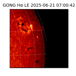 gong - 2025-06-21T07:00:42
