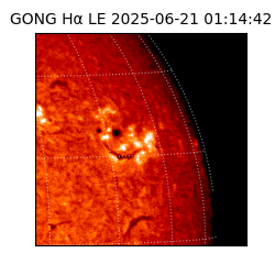 gong - 2025-06-21T01:14:42