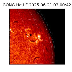 gong - 2025-06-21T03:00:42