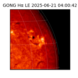 gong - 2025-06-21T04:00:42