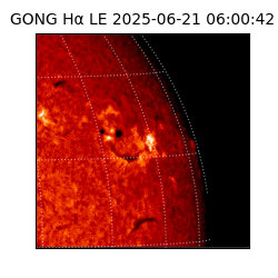 gong - 2025-06-21T06:00:42