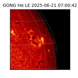 gong - 2025-06-21T07:00:42