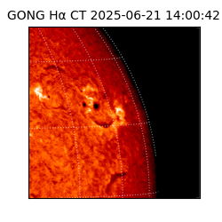 gong - 2025-06-21T14:00:42
