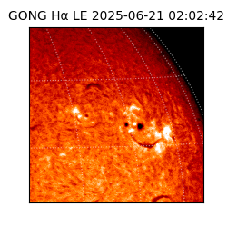 gong - 2025-06-21T02:02:42