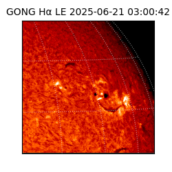 gong - 2025-06-21T03:00:42