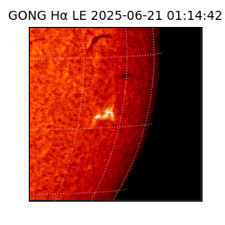 gong - 2025-06-21T01:14:42