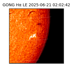 gong - 2025-06-21T02:02:42