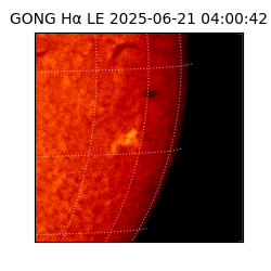 gong - 2025-06-21T04:00:42
