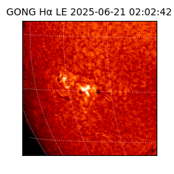 gong - 2025-06-21T02:02:42