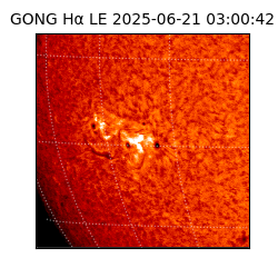 gong - 2025-06-21T03:00:42