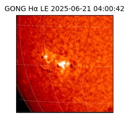 gong - 2025-06-21T04:00:42