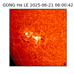 gong - 2025-06-21T06:00:42