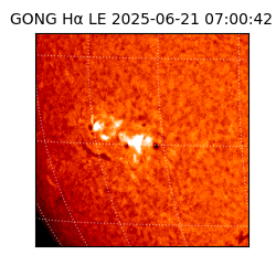 gong - 2025-06-21T07:00:42