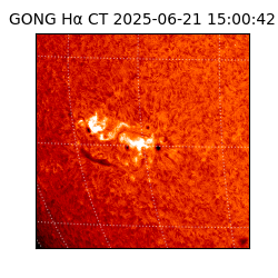 gong - 2025-06-21T15:00:42