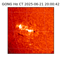 gong - 2025-06-21T20:00:42