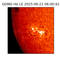 gong - 2025-06-21T06:00:42