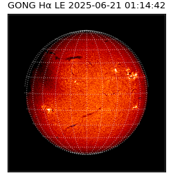 gong - 2025-06-21T01:14:42
