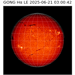 gong - 2025-06-21T03:00:42