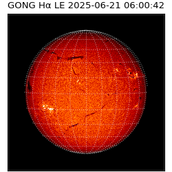 gong - 2025-06-21T06:00:42