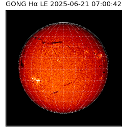 gong - 2025-06-21T07:00:42