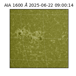 saia - 2025-06-22T09:00:14.126000