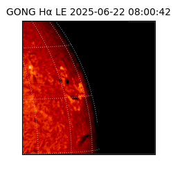 gong - 2025-06-22T08:00:42